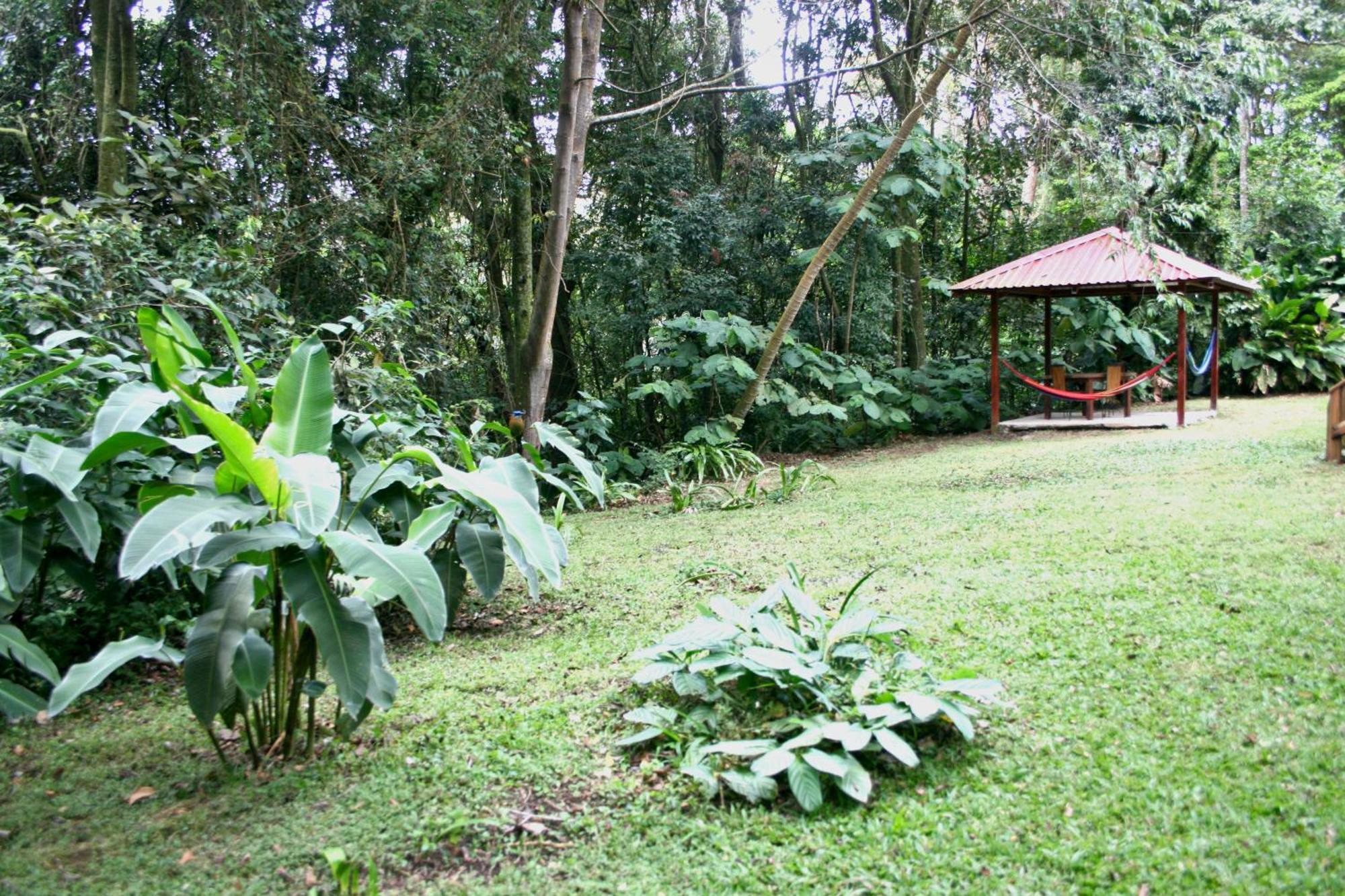 Forest Garden House Monteverde Exterior foto